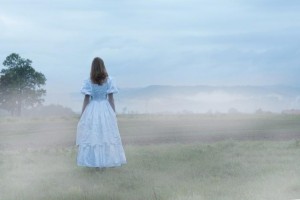 lost in the fog