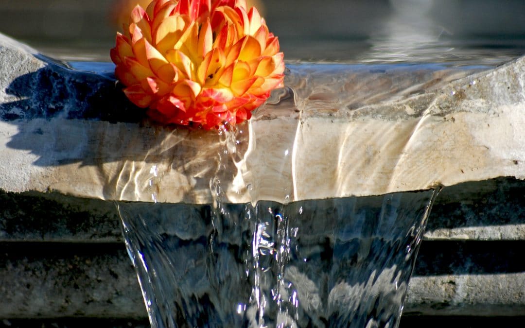 Taurus Full Moon: The Money Fountain